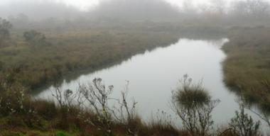 Arcata Marsh and Wildlife Refuge