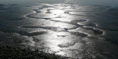 Sloughs and Wetlands