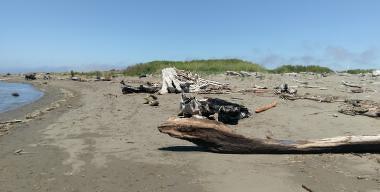 Crab County Park Beach, Loleta