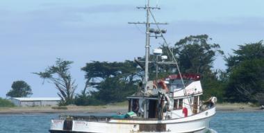 Humboldt Bay