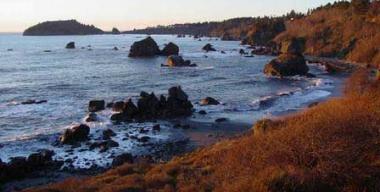 Luffenholtz County Park