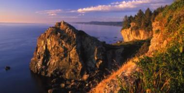 Patrick's Point State Park- Coastal