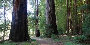 Benbow Lake State Recreation Area
