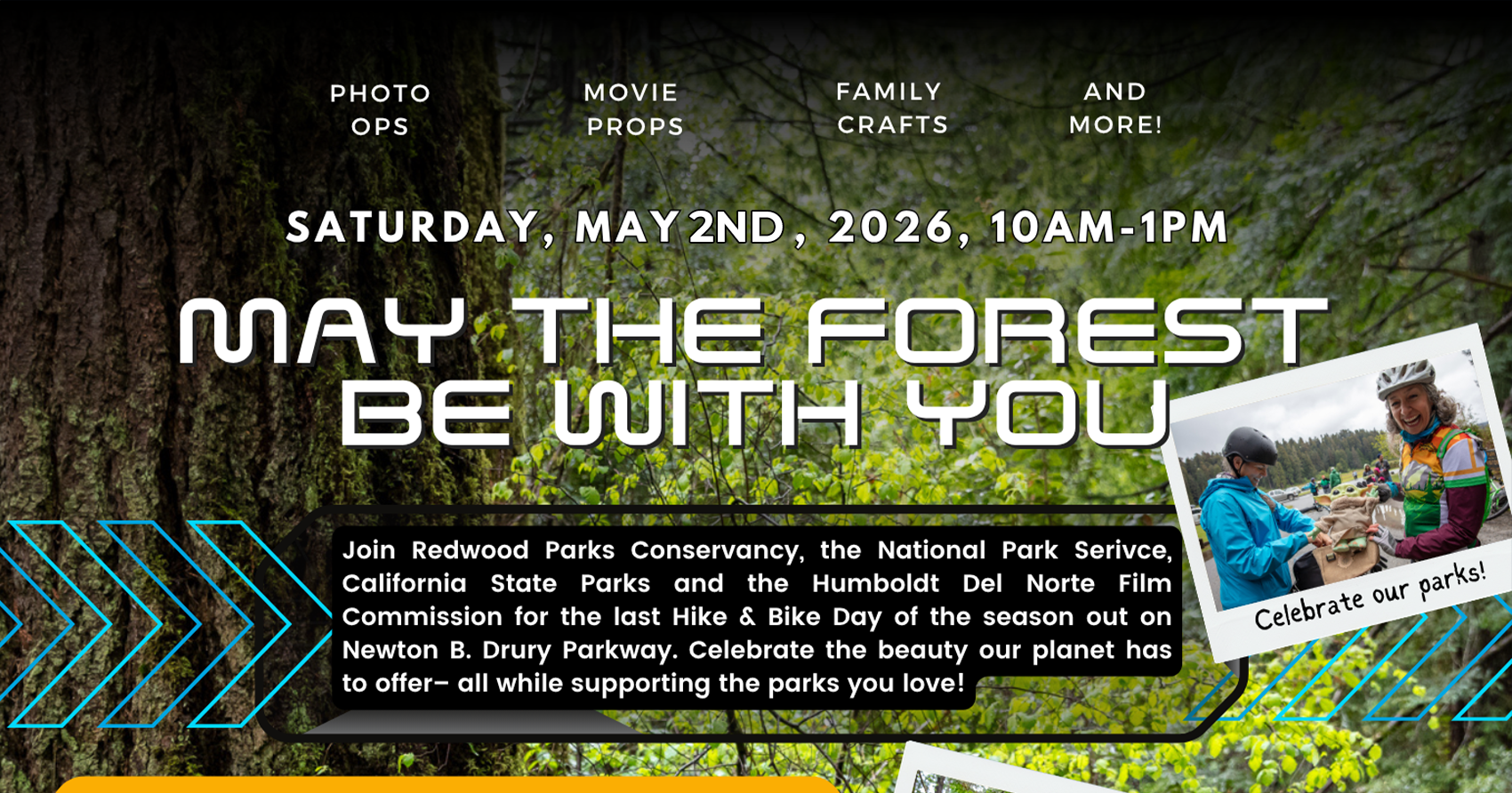 May The Forest Be With You